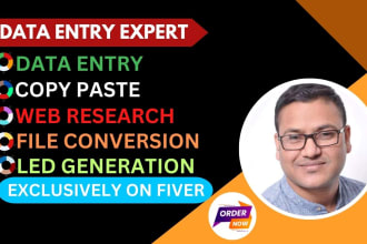do accurate data entry web research copy paste and virtual assistance expert