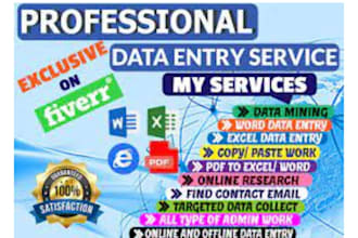 excel data entry, copy paste and web research expert