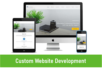 develop custom website using PHP