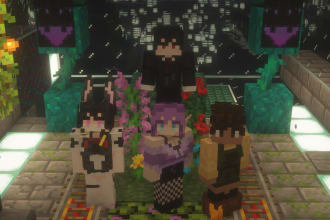 play minecraft with you