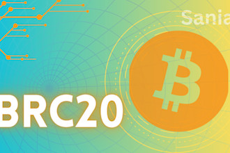 build a brc20 swapping dex for your project