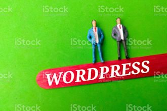do the best wordpress customization, and software debugging