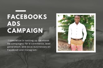 setup facebook ads campaign for you  or your business