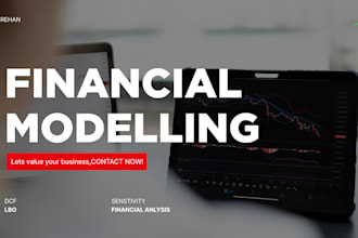 make investor ready  financial model for you using dcf, lbo etc valuation
