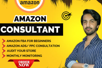 be your amazon fba mentor and consultant for amazon store success