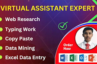 do accurate data entry, web research, copy paste, and excel data entry jobs