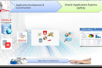 provide low code oracle apex application development and customization solutions