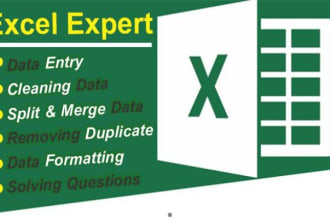 help in microsoft excel data cleaning,formatting, expert convert pdf to excel