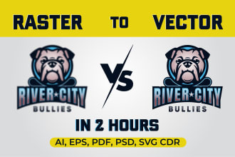 edit, redesign, redo, create your logo in vector format