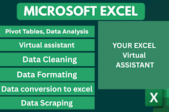 accurate data entry, excel formatting, and spreadsheet cleanup