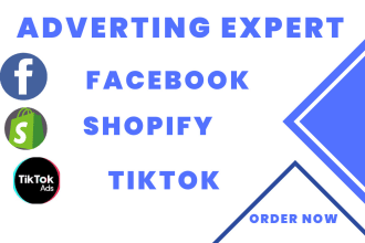 run facebook or shopify paid ads camping for any business