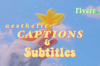 add aesthetic synced subtitles or captions to your video