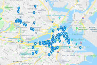 provides local citation, gmb, and map listing