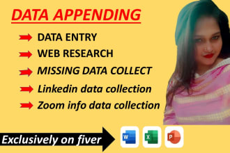 do data enrichment, data appending, and missing excel data entry