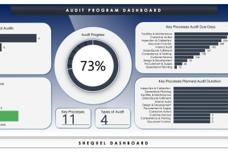 send you an audit program