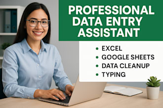 be your professional data entry assistant