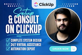 setup your clickup, give consultancy on clickup