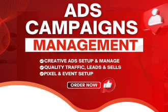 run instagram and meta facebook ads campaigns with full management