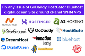 fix any issue of godaddy hostgator bluehost dreamhost siteground cpanel vps