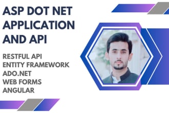 develop any type of asp dot net application ado net and API
