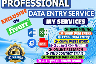 do excel data entry, online data entry, copy paste work