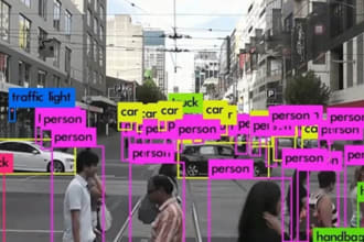object detection tensorflow yolo and pytorch