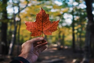 assist you with canada PR visa application