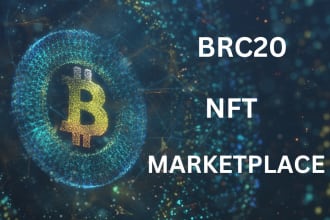 provide technical support for your brc20 nft marketplace
