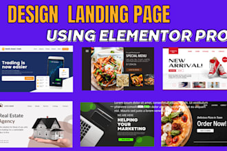 Big Deals!  develop responsive wordpress website design elementor landing page design
