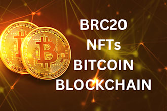 help you collect brc20 nft for your project