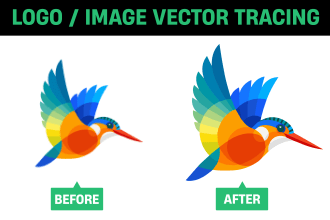 convert your sketch or existing logo to vector