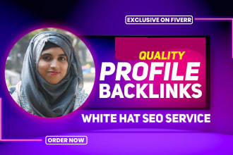 build 200 profile backlinks and linkbuilding