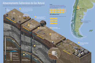 professional and creative infographics