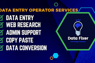 offer professional data entry services