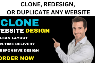 duplicate, clone, or redesign any wordpress website in elementor