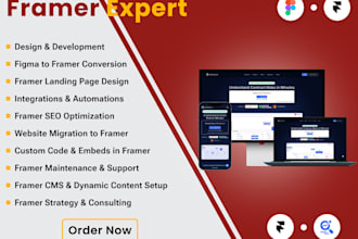 do professional website design and development on framer