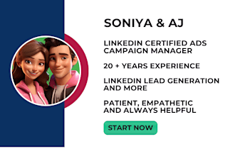 be your linkedin ads campaign professional
