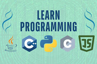 teach programming language and solve competitive programming problems