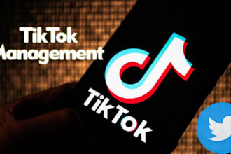 be your twitter and tiktok manager
