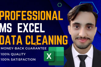 be professional excel data cleaning, organize and merge data