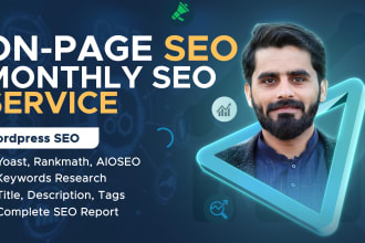 do expert monthly wordpress onpage SEO services or local website optimization