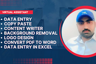 data entry virtual assistant,  logo design, pdf covert