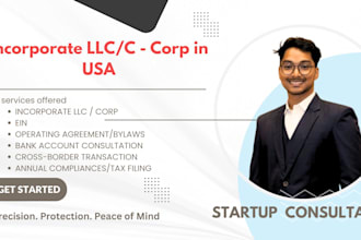 incorporate an llc or a c corp in the USA