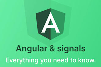 develop angular website with different angular versions