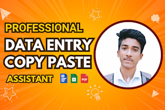 do professional excel data entry, data collection copy paste work from home