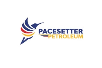 design awesome oil and gas logo for you