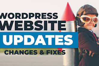 update your wordpress website