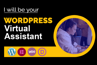 be your wordpress virtual assistant for updating website or content upload