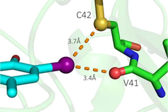 do molecular docking MD simulation 2d 3d modeling admet drug discivery