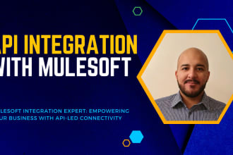 provide extensive mulesoft consulting, development, and integration support